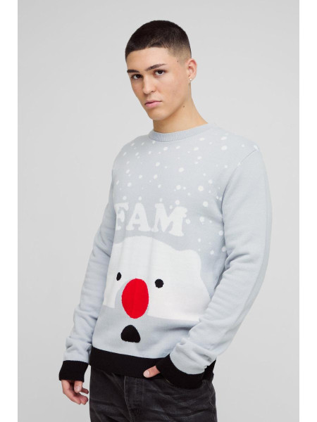 Різдвяний джемпер стандартного крою Fam
